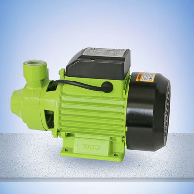 Cast Iron Head  60L/Min 1HP Peripheral Pump，The max head and flow support highly efficient work